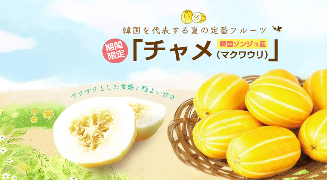 top_チャメbanner.jpg