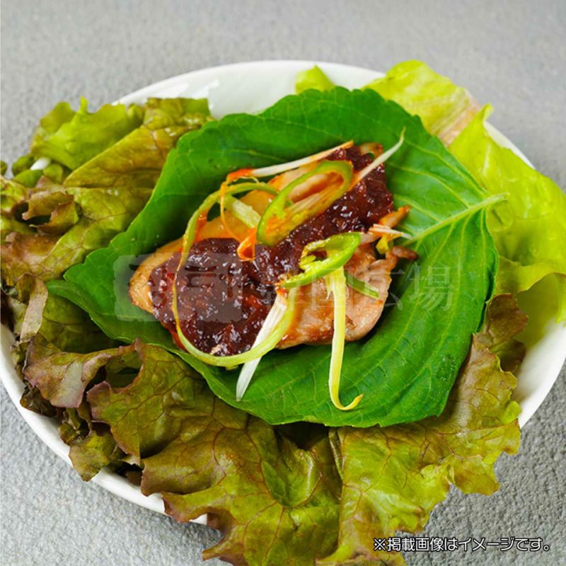 CJ ビビゴ サムジャン 500g | 韓国広場e-shop本店