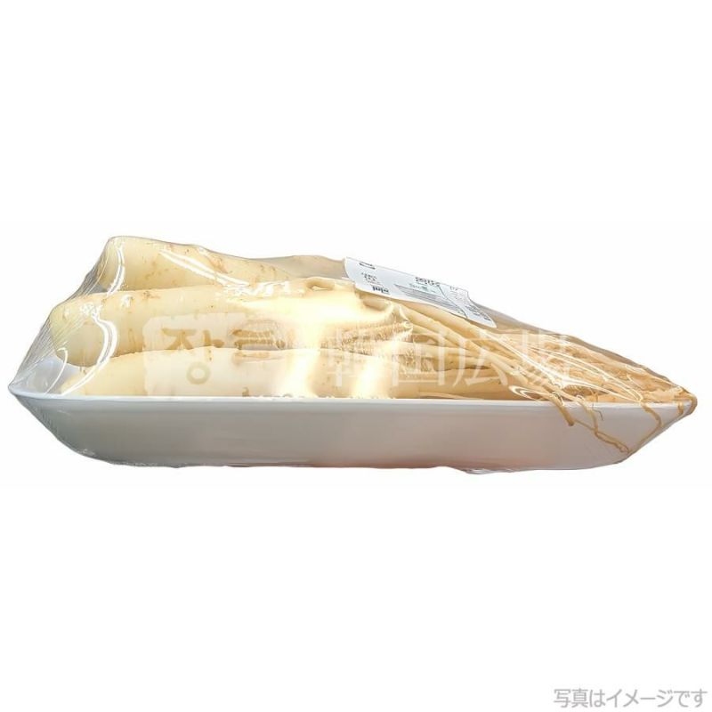 生 高麗人参 韓国産 3年根 | 韓国広場e-shop本店